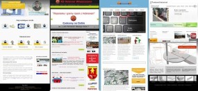 Strony internetowe : Wykonam profesjonalnie
