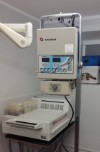 Zdjęcia RTG psów, kotów i innych zwierząt