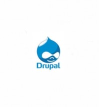 Usługi programistyczne Drupal
