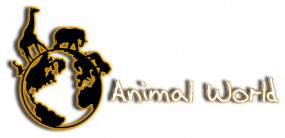Internetowy sklep zoologiczny