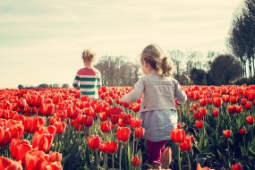 Pomoc terapeutyczna dla dzieci i młodzieży