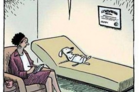 Pomoc behawioralna, zaburzenia psich zachowań