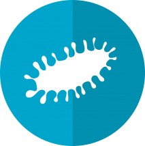 Diagnostyka Organizmu Technologia NLS