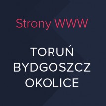 Responsywna strona www Wordpress
