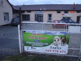 Strzyżenie psów i kotów oraz hotel dla kotów