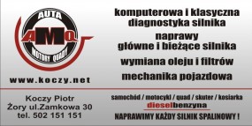 NAPRAWA SILNIKÓW