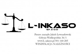Windykacja terenowa, windykacja długów