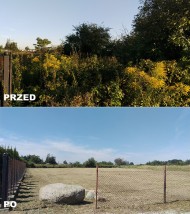 Oczyszczanie działek