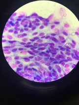 Dermatologia i Cytologia