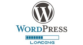Strona www oparta na CMS WordPress