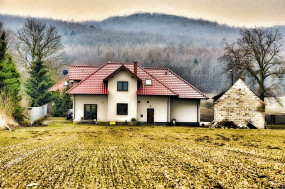 Sprzedaż domów i mieszkań
